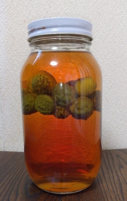 梅酒