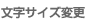 文字サイズ変更